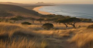 RPA Kiedy Jechać? - Sprawdź, kiedy unikniesz tłumów i upałów!